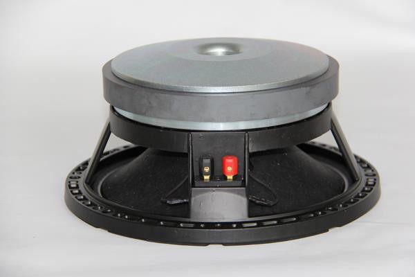 10 Inch 350W RMS Pro Audio Loudspeakers Subwoofer Speaker