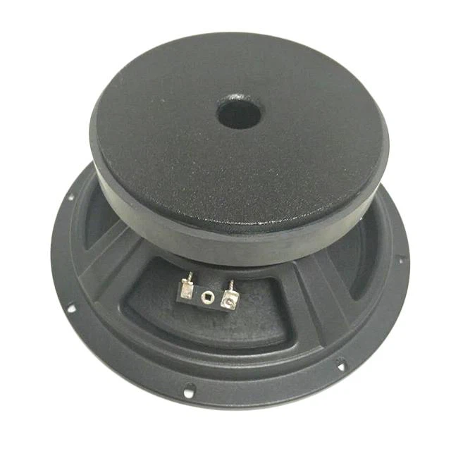 OEM 8 Inch 300w Audio Car Midrange Speaker