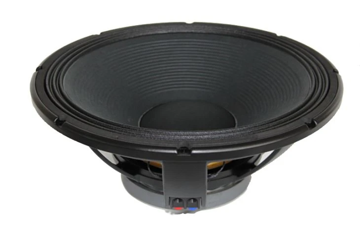 Stage Pro Speaker