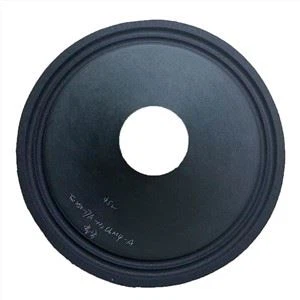 10 Inch Speaker Cone