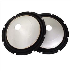12 Inch Rubber Surround PP Cone For Speaker